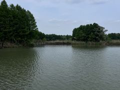 -苏州太湖国家湿地公园
