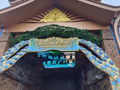 -西双版纳原始森林公园