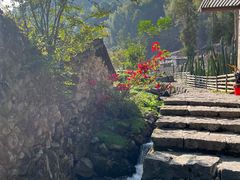 -MOJ coffee(瓯海泽雅水碓坑店)