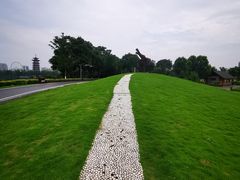 -洋湖国家湿地公园