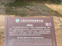 -上海佘山国家森林公园天马山园