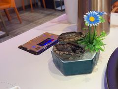 -苏大嘴蒸汽海鲜·海胆蒸饺(中山广场店)