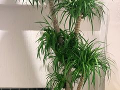 -77号渔船·蒸海鲜青岛菜(积米崖店)