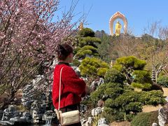 -庐山风景名胜区-东林大佛