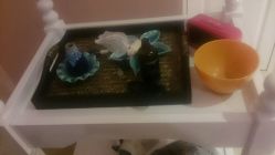 -悦己堂美容养生SPA