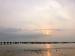 -宝安西湾红树林湿地公园