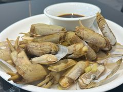 -金潮排档·金牙齿排档(广场西路店)