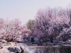 -国家植物园