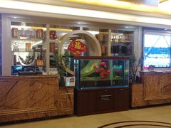 -张掖华辰国际大酒店