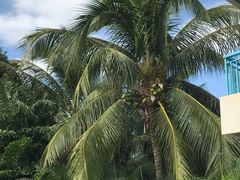 -亚龙湾亚泰商业街