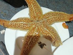 -雄楚国际大酒店-四季西餐厅