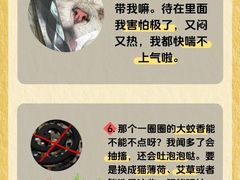 -派美特宠物医院·核磁CT·骨科肿瘤·疑难转诊(沈农禾丰店)