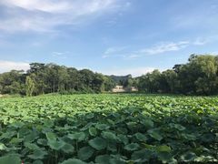 -承德避暑山庄景区