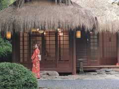 -中国茶叶博物馆(双峰馆区)