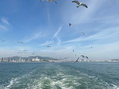 -刘公岛景区