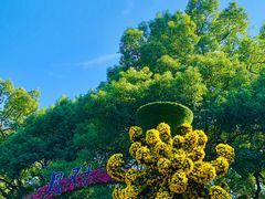 -杭州植物园