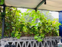 -后海16号·北京私房菜