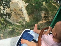 -泉州海丝野生动物世界