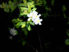 -幕燕滨江·长江观音景区