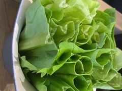 -额尔敦涮肉自助(摩尔城店)
