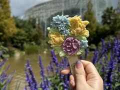 -昆明植物园