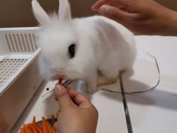 -Moni星球萌宠·小马宝莉·灵蛇·高端高阶全萌宠互动体验俱乐部(红豆国际广场店)