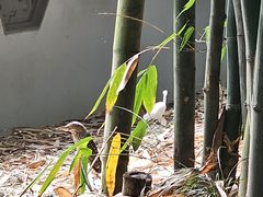-成都杜甫草堂博物馆