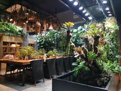-森味薪火烧•烧鸟居酒屋•日本料理(望京店)