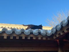 -创艺无限·赵春香微妙艺术馆