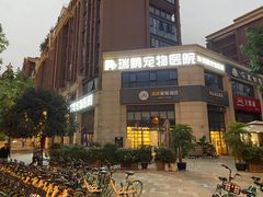 -瑞鹏宠物医院·眼科·皮肤·中兽医(大悦城分院)