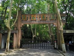 -灵谷景区