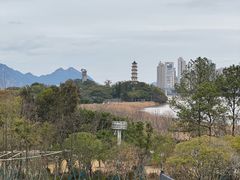 -江心屿景区