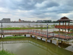 -立新湖公园