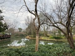 -西溪国家湿地公园