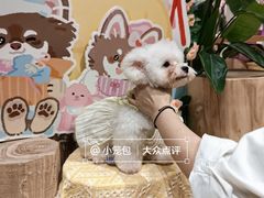 -瑞虹新天地月亮湾