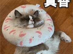 -美联众合动物医院(唯恩分院)