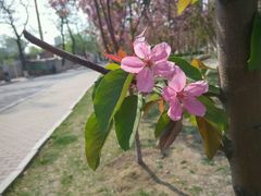 android_upload_pic-辽宁大学(崇山校区)