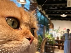 -自由生长植物工作室(深港花卉中心店)