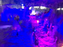 -世界之窗阿尔卑斯冰雪世界