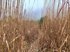 -浙西天池-售票处