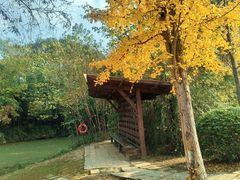 -白鹭湾湿地公园