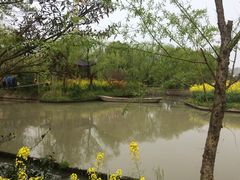 -南汇桃花村