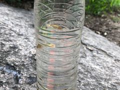 -碓臼峪自然风景区