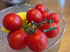 -龙吟九品(园博园店)