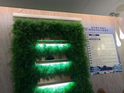 -尚艺造型.剪烫染.接发