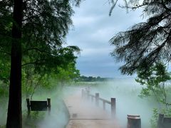 -东湖落雁景区