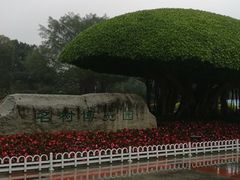 -南宁南湖公园