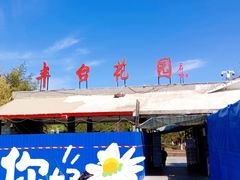 -丰台花园
