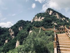 -大岭沟猕猴桃谷风景区