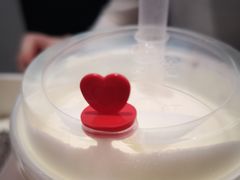 -奈雪的茶(石家庄万象城店)